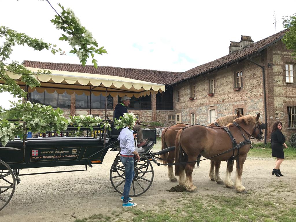 giro in carrozza La Mandria