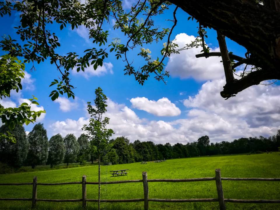 Una location immersa nel verde
