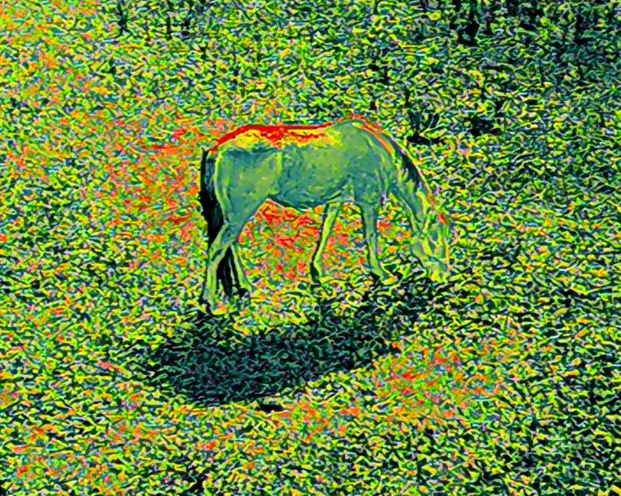 Monitoring of Stock with Thermal Scanning 