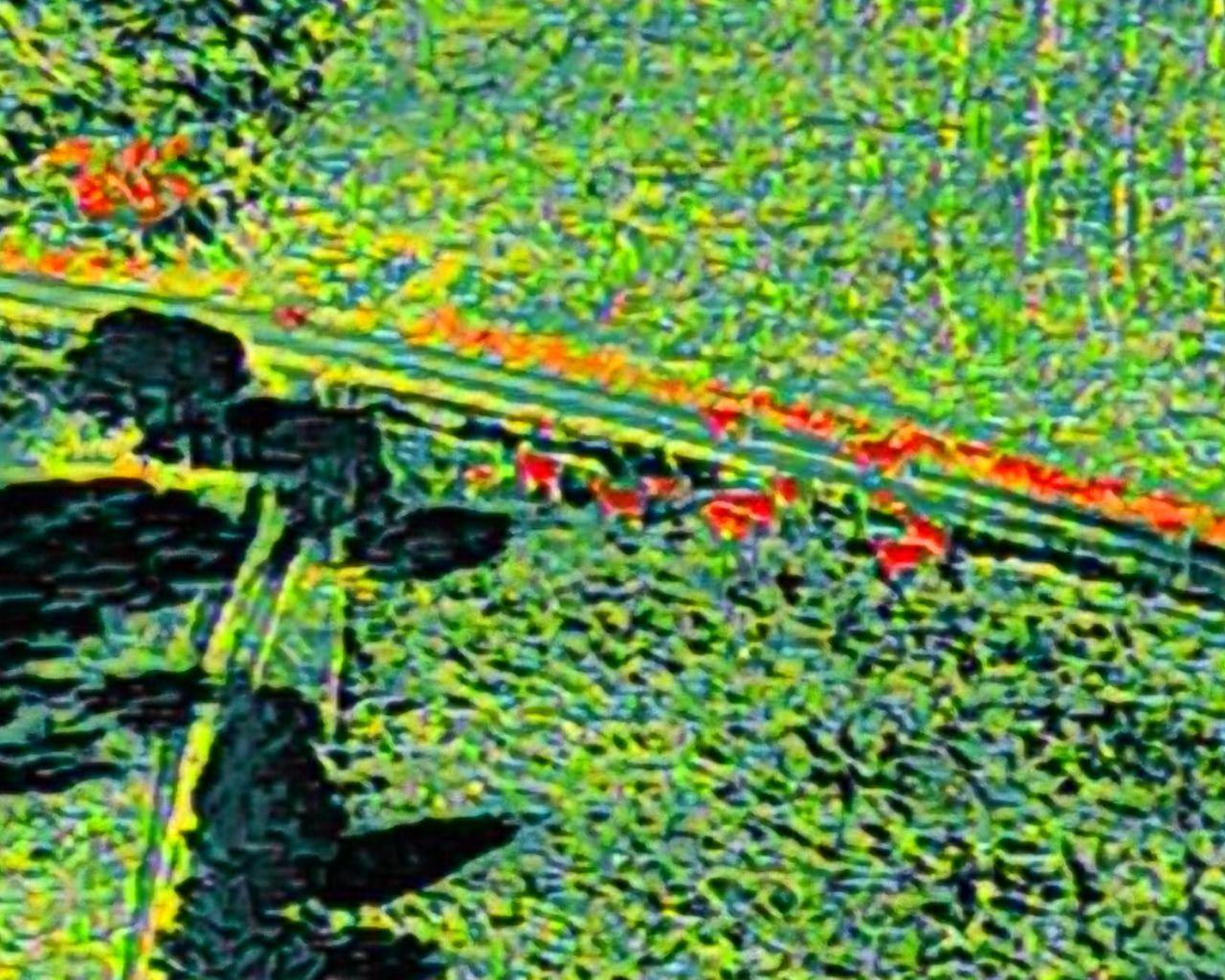 Thermal Scanning of Stock Escaping from loose fencing 