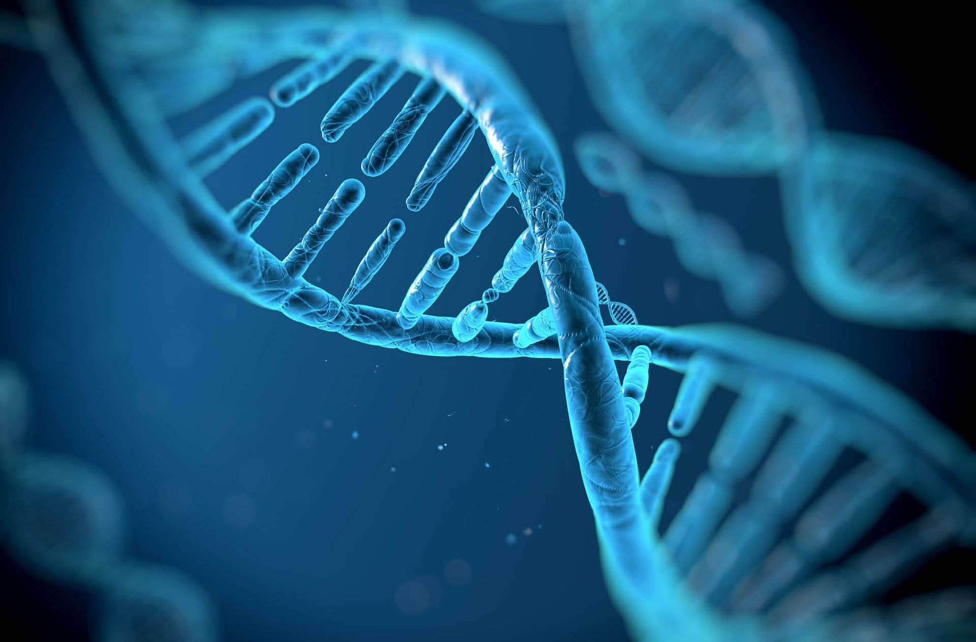 Remembering Loved Ones Through DNA: A New Take on Legacy