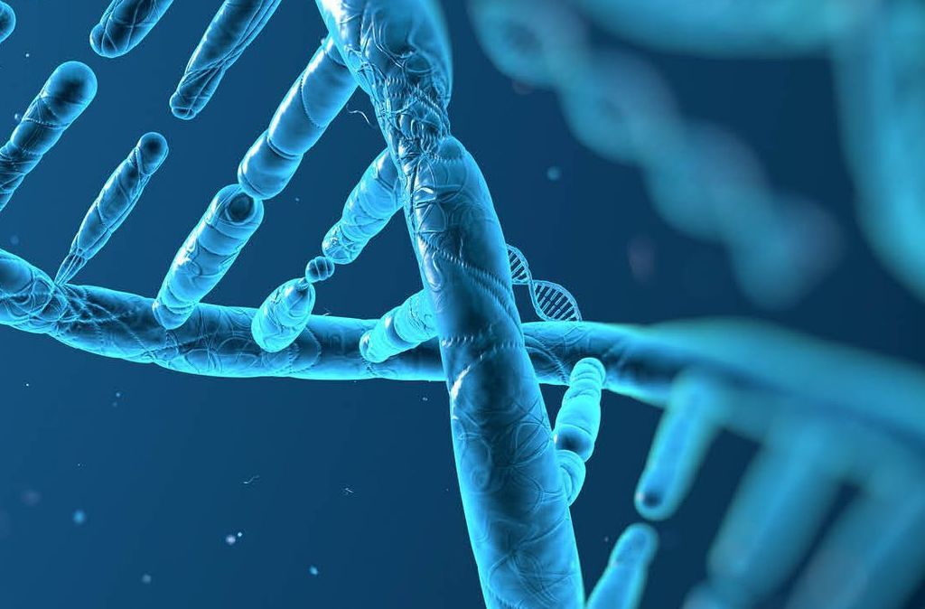 DNA after death