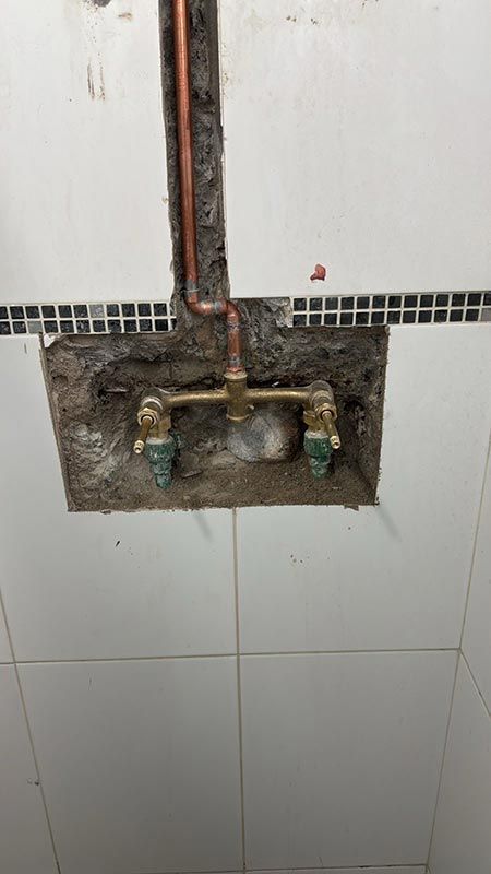 MÁSTER BAJA PLOMERÍA Y ELECTRICIDAD