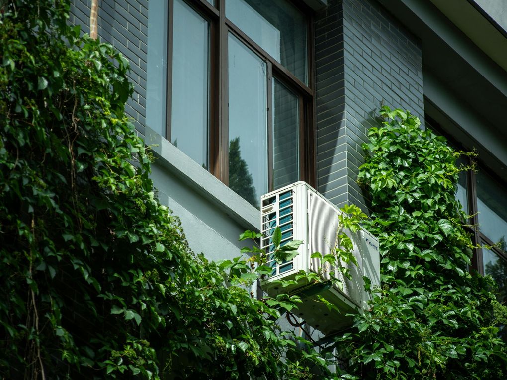 Air conditioner unit on gray building exterior, covered in green ivy.