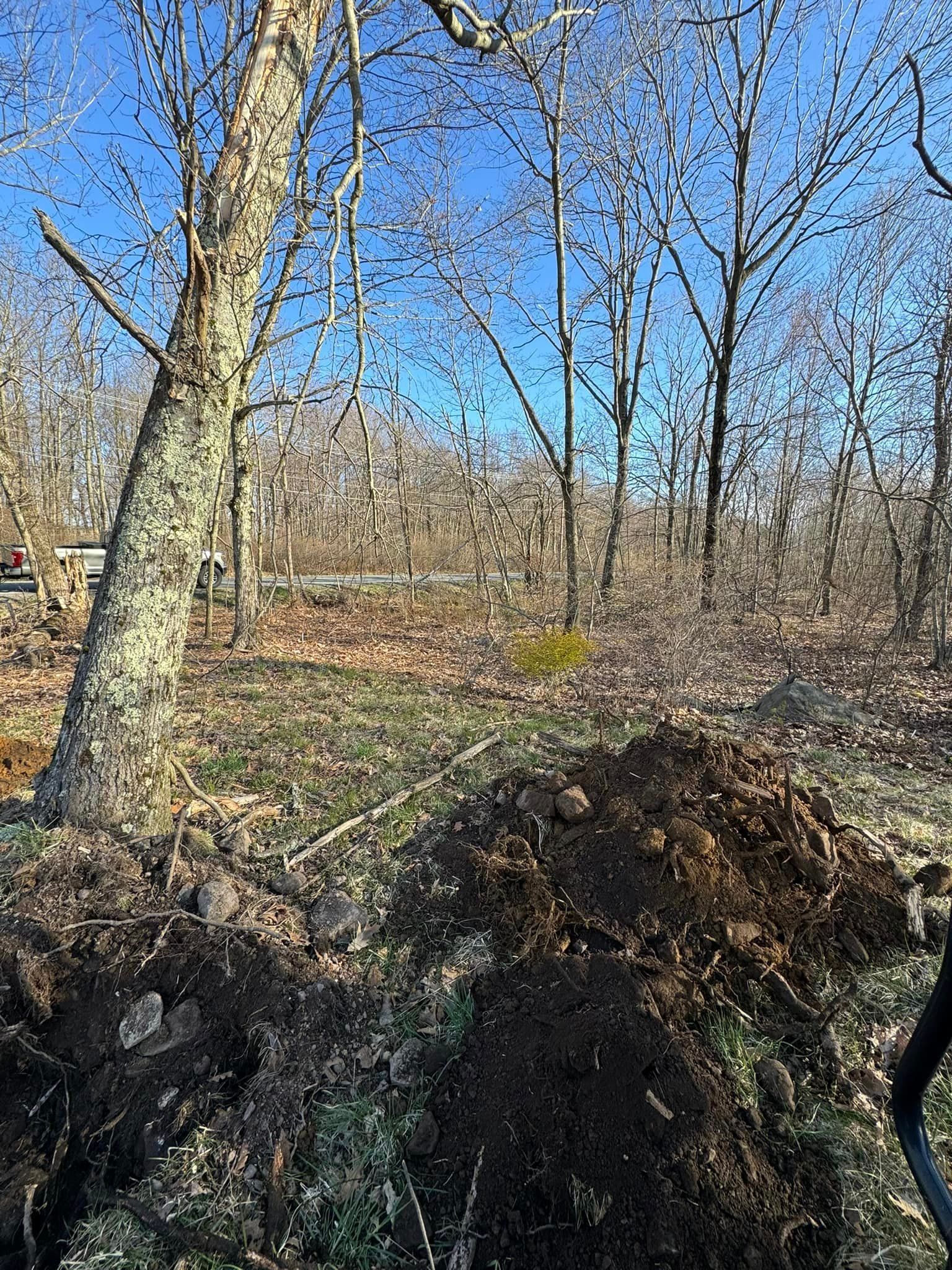 A person is digging in a pile of dirt in the woods by Tailored Excavation.