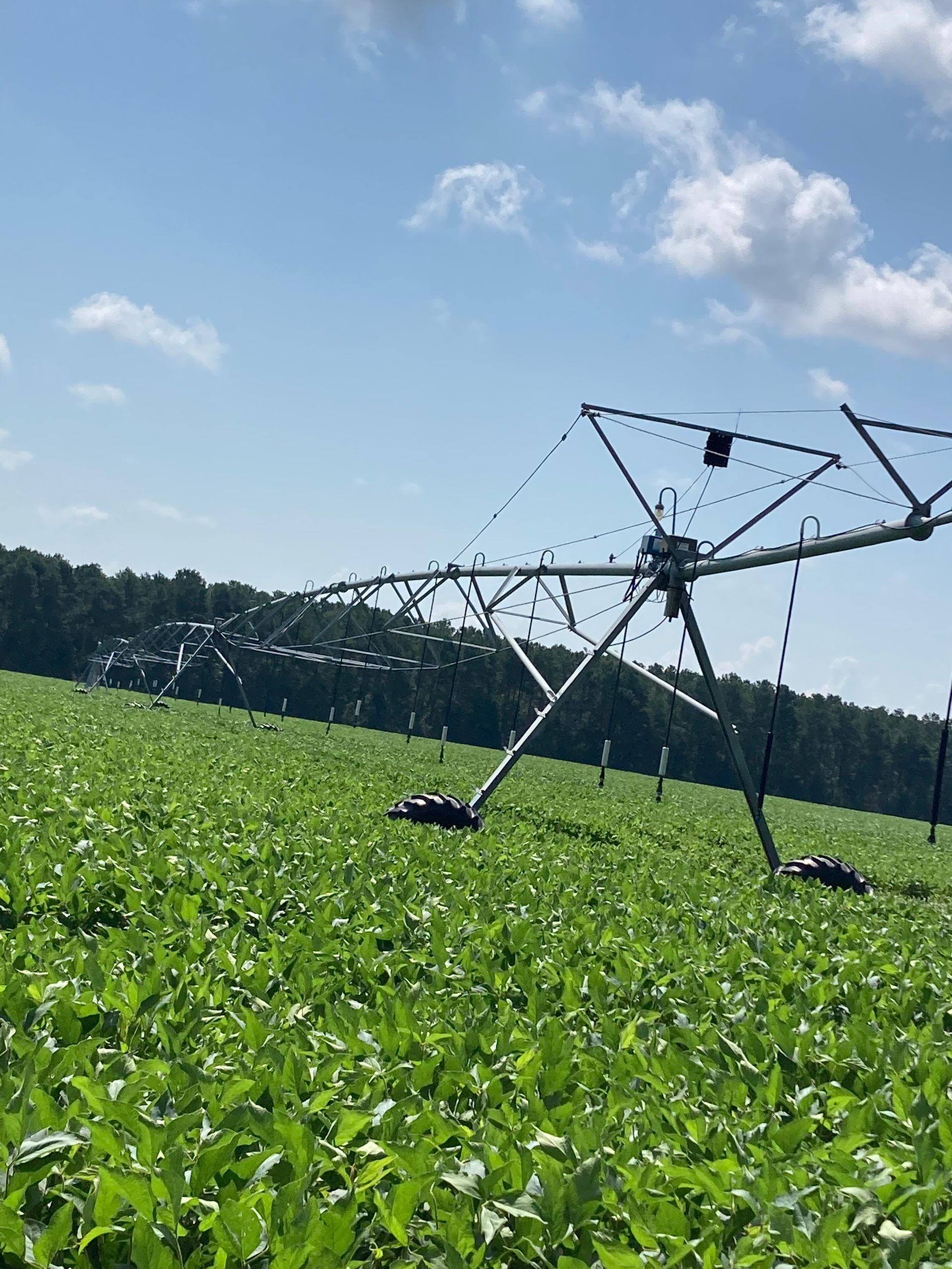 A man in a blue shirt and tie is using a laptop computer.