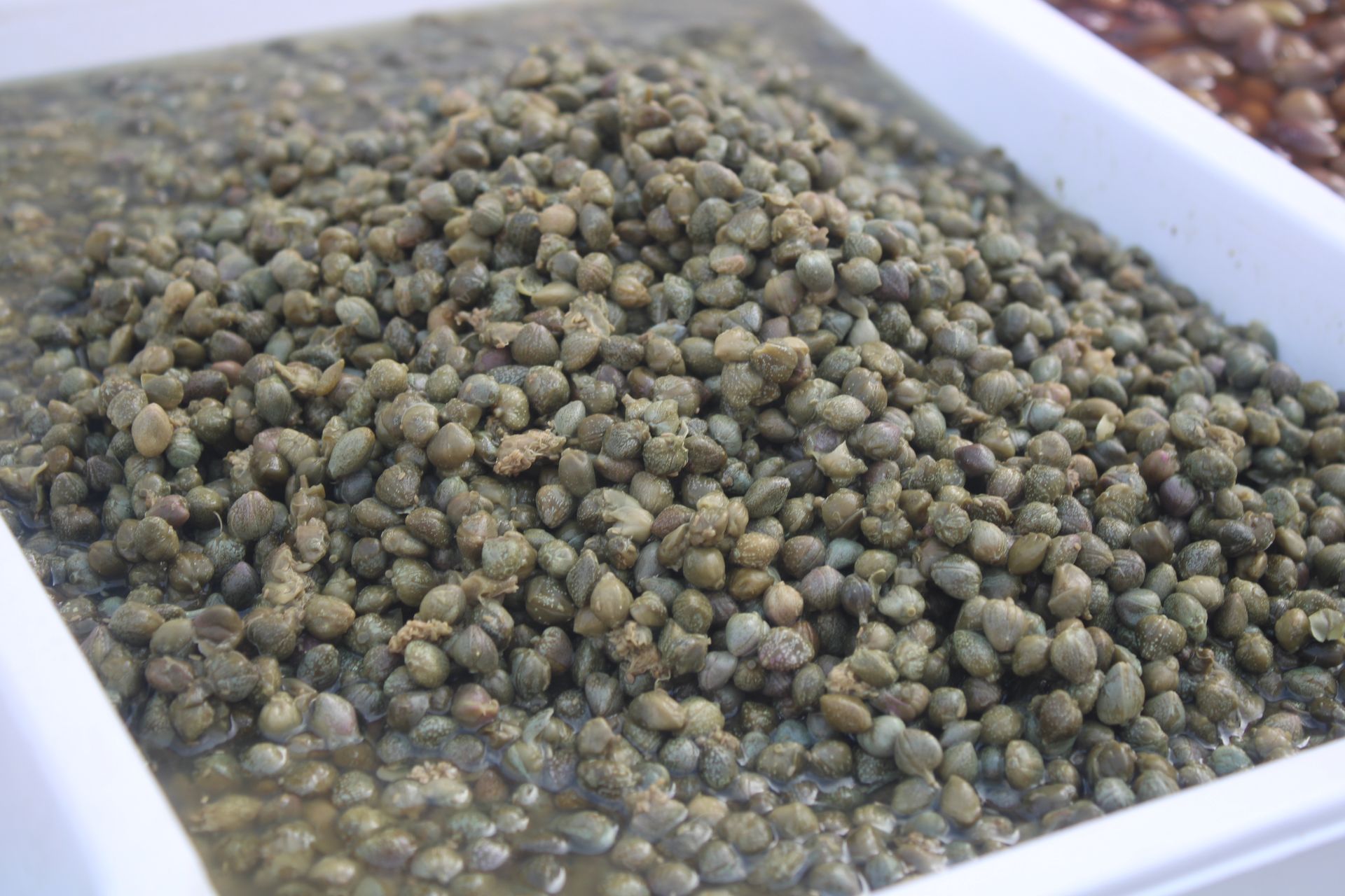 Capperi in un vassoio bianco; piccoli germogli rotondi, di colore verde oliva.