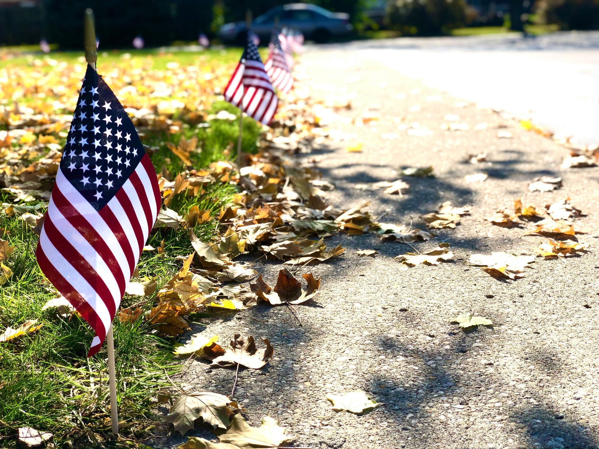 American flags line a grassy area next to a road, autumn leaves scattered about.