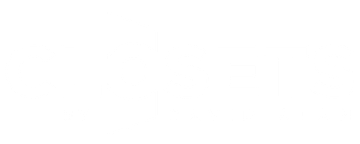 White on white graphic.