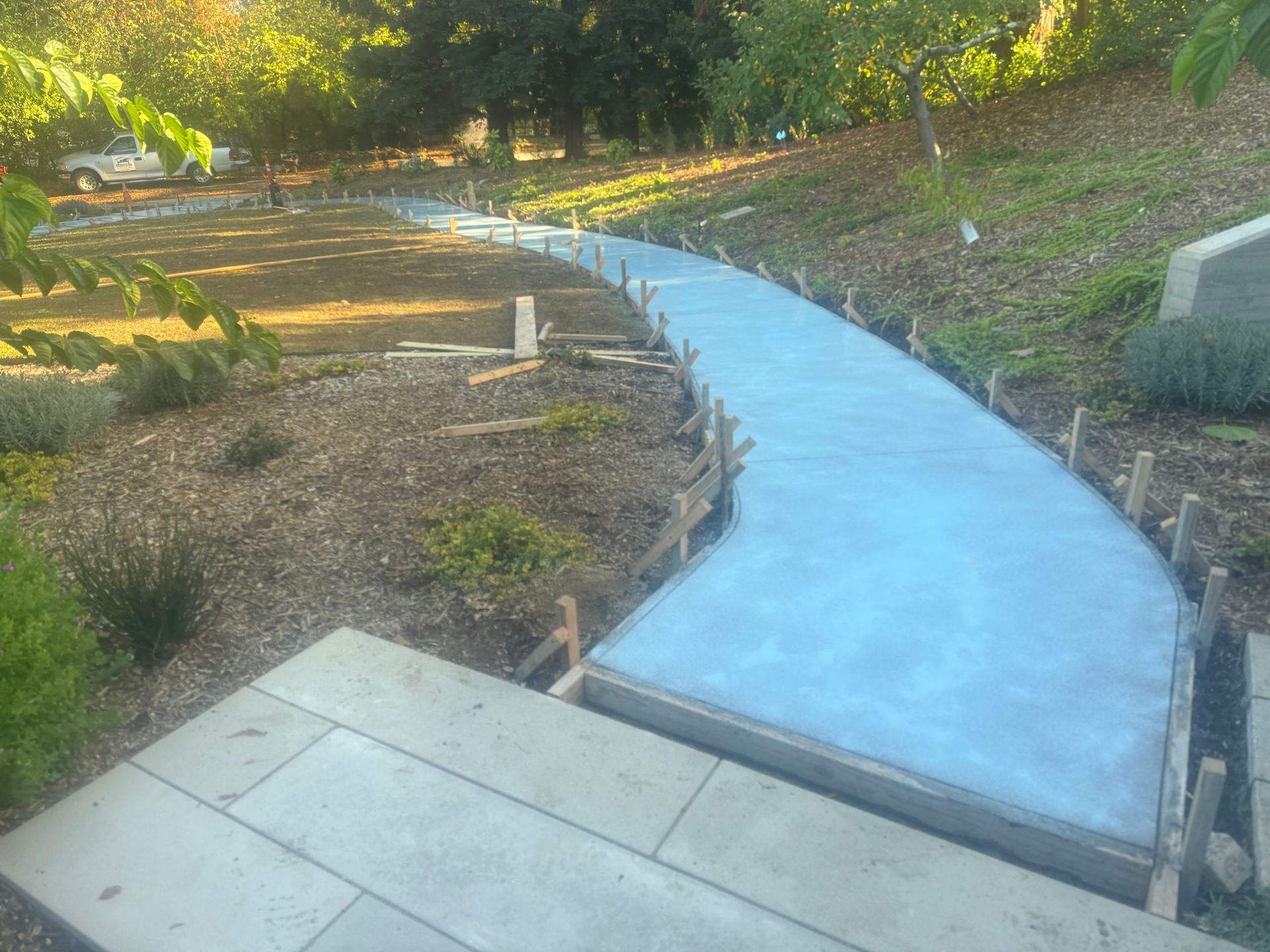 A newly poured, light-blue concrete pathway curves through a landscaped yard, alongside wood formwork.