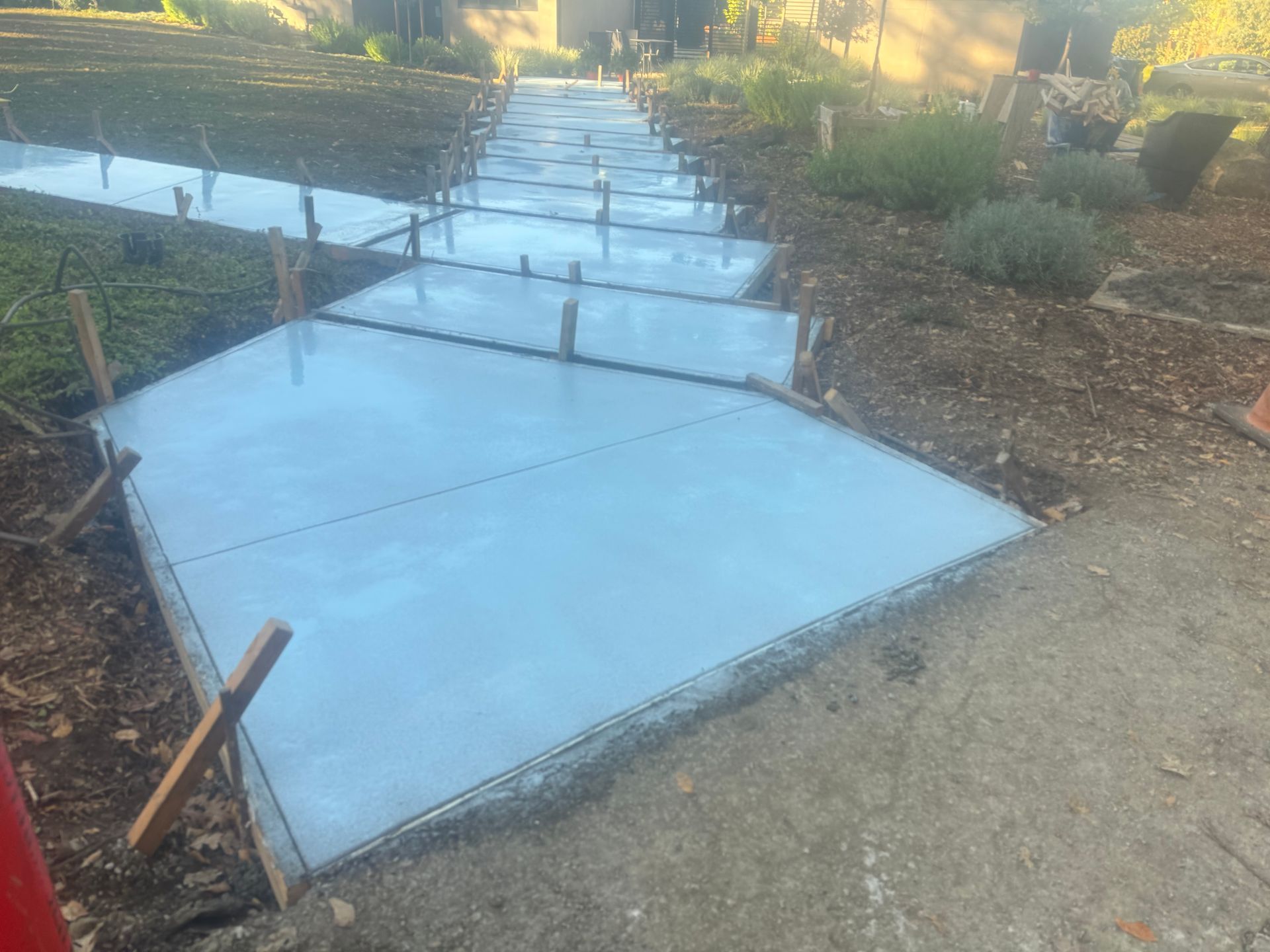 Newly poured concrete walkway sections framed with wood, outdoors.
