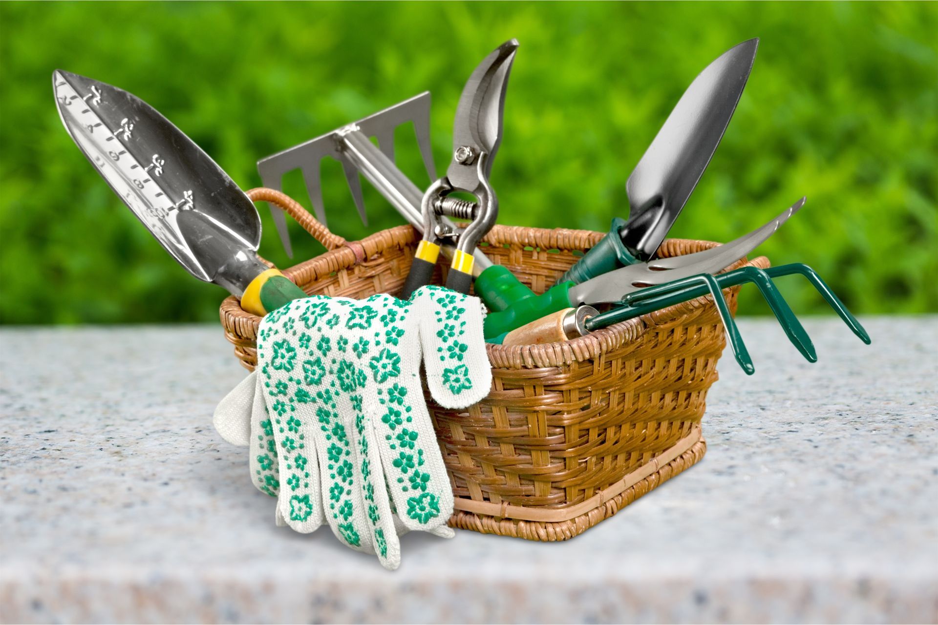 A group of gardening tools and gloves in a basket with greenery in the background.