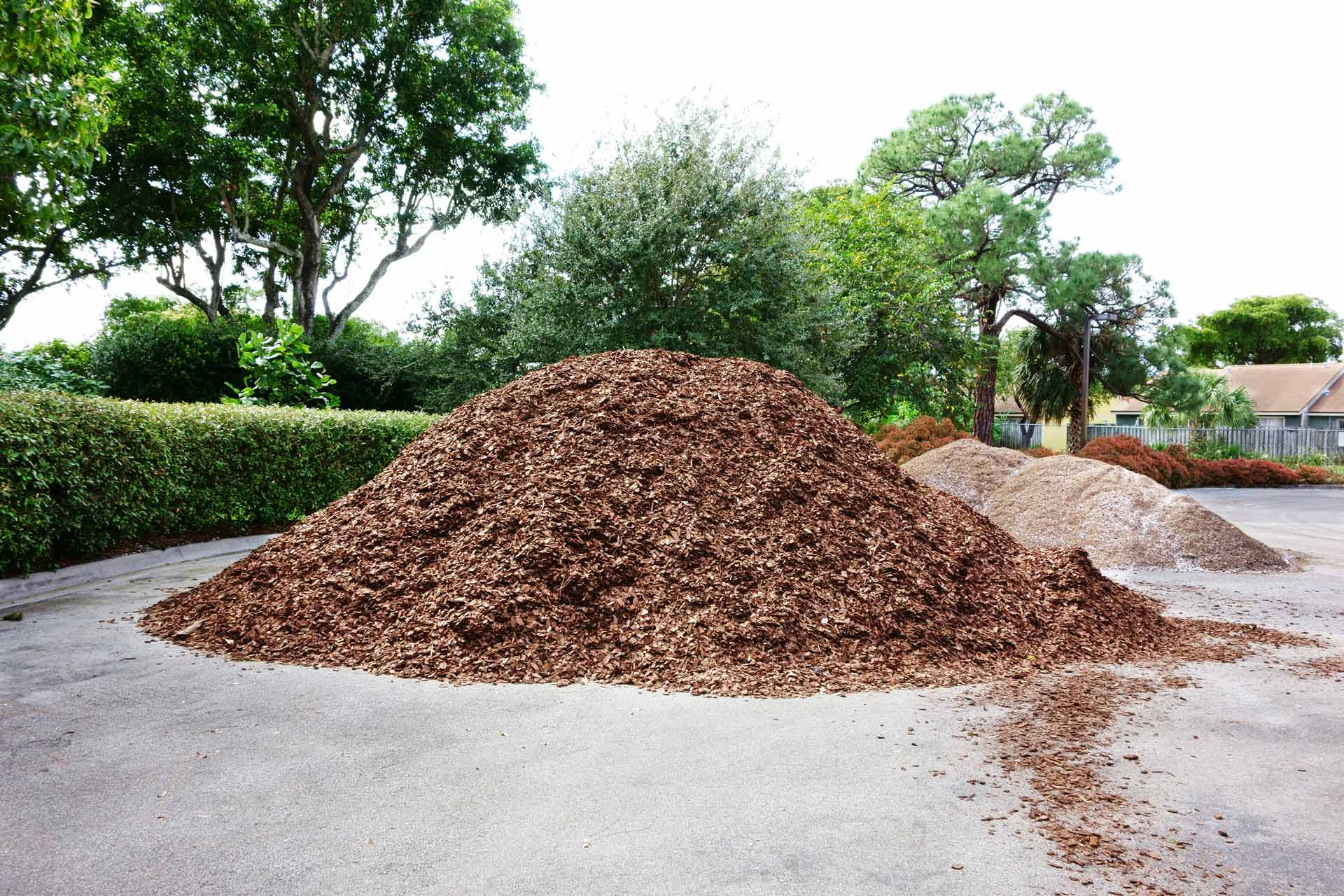 A Large Pile of Shredded Pine Bark Has Been Dumped in a Parking Lot | Tahmoor, Nsw | Mark’s Landscape Supplies