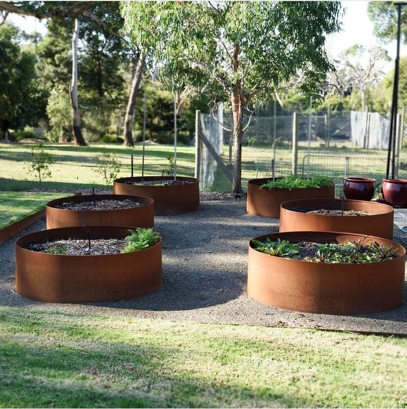 A row of rusty planters with plants in them