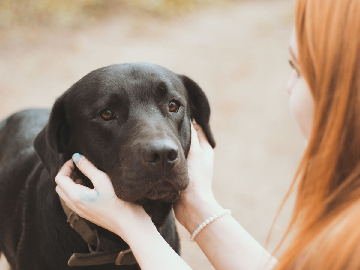 A woman is petting a black dog 's face.