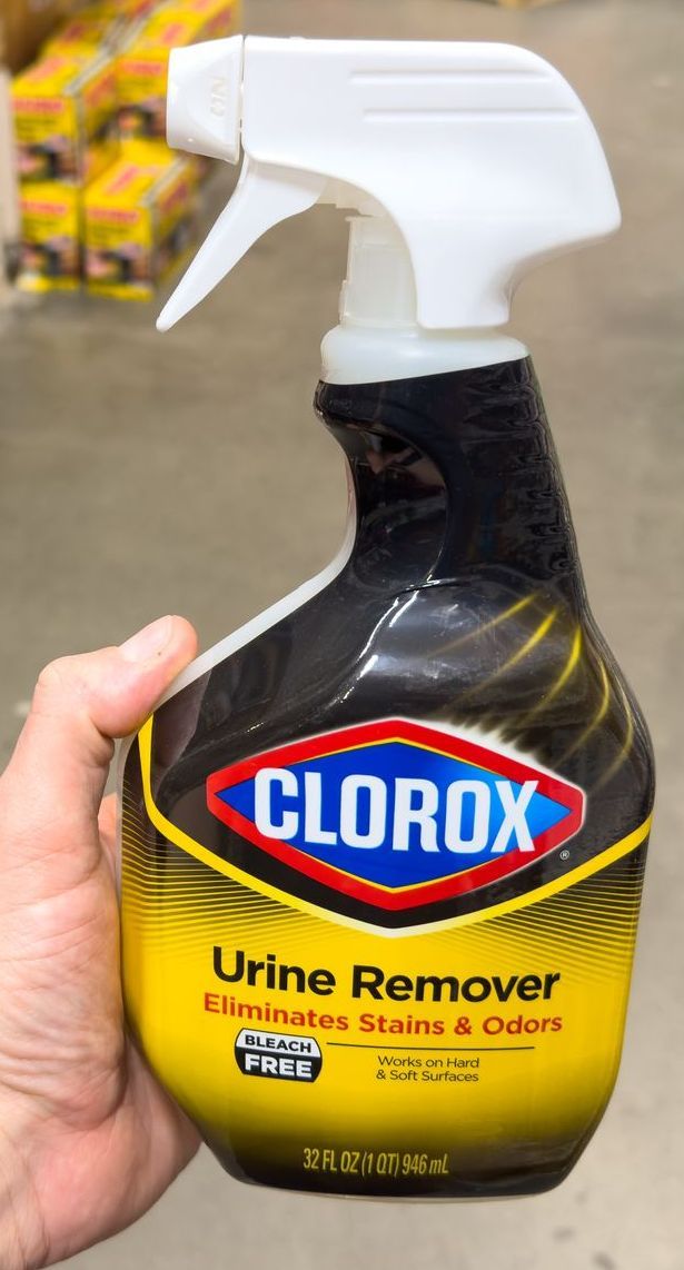 A person is holding a bottle of clorox urine remover