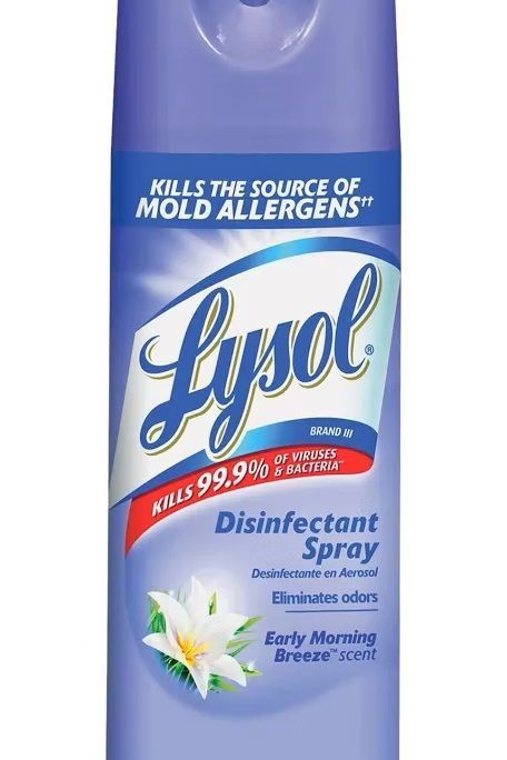 Lysol disinfectant spray kills the source of mold allergens