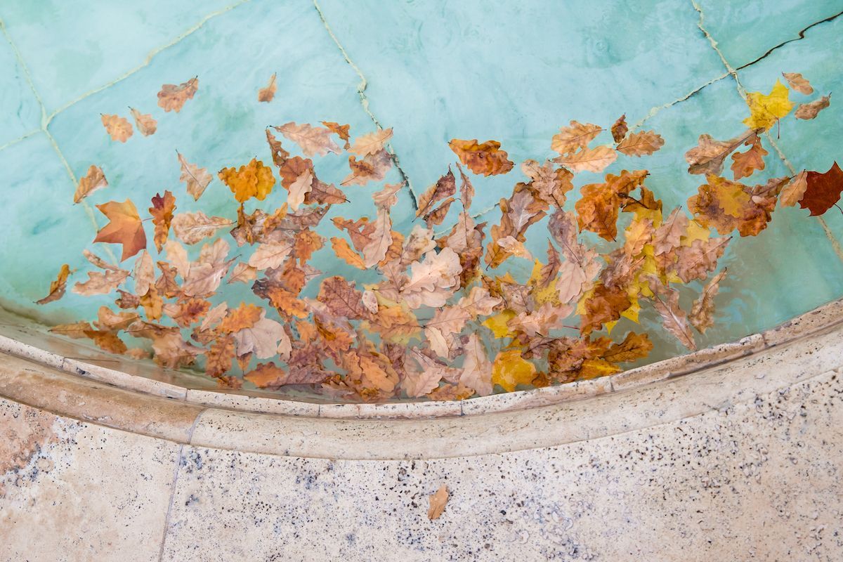 Learn How to Prepare Your Pool For Mid-Missouri's Fall With Peavler Construction in Columbia, MO