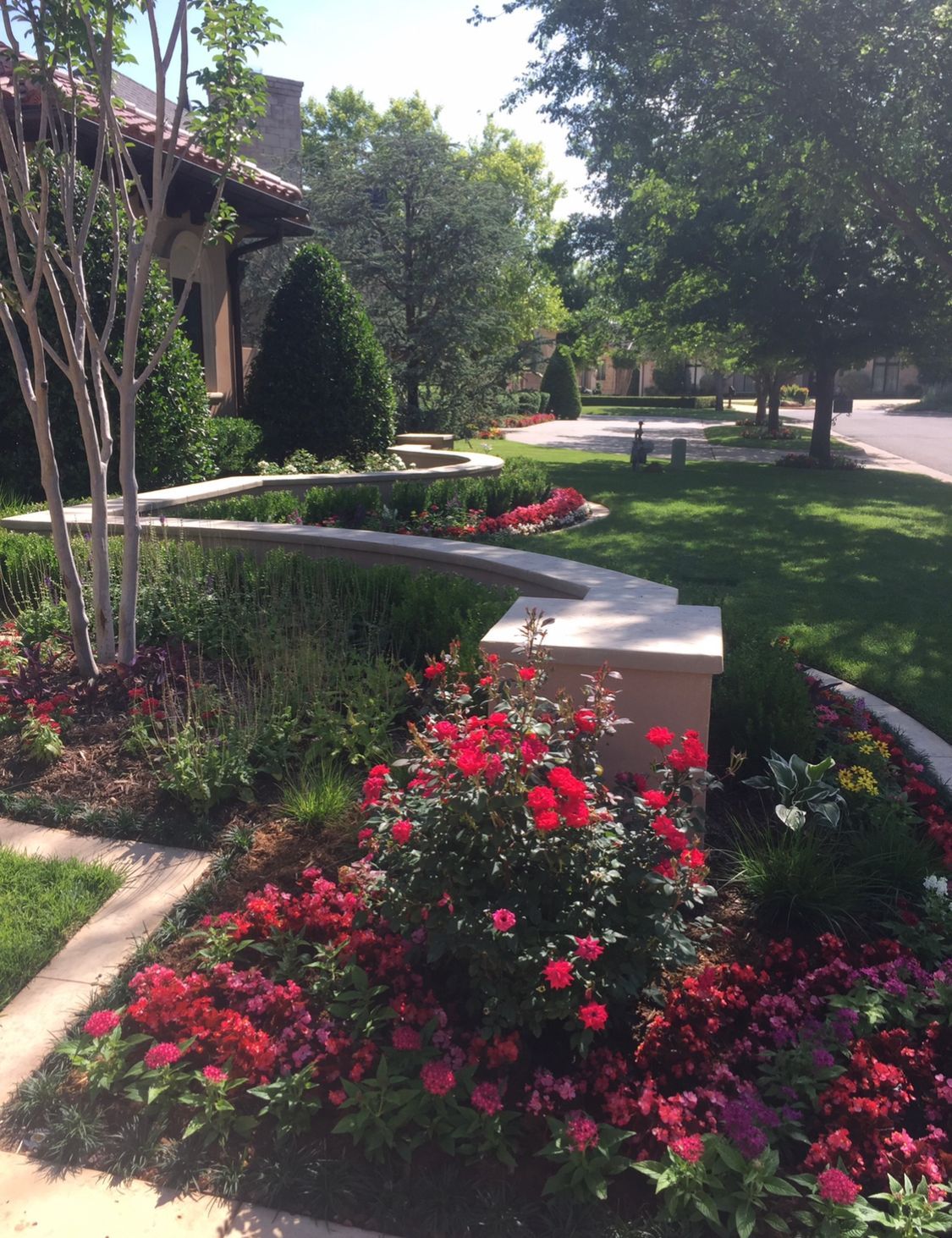A garden with lots of red flowers in front of a house