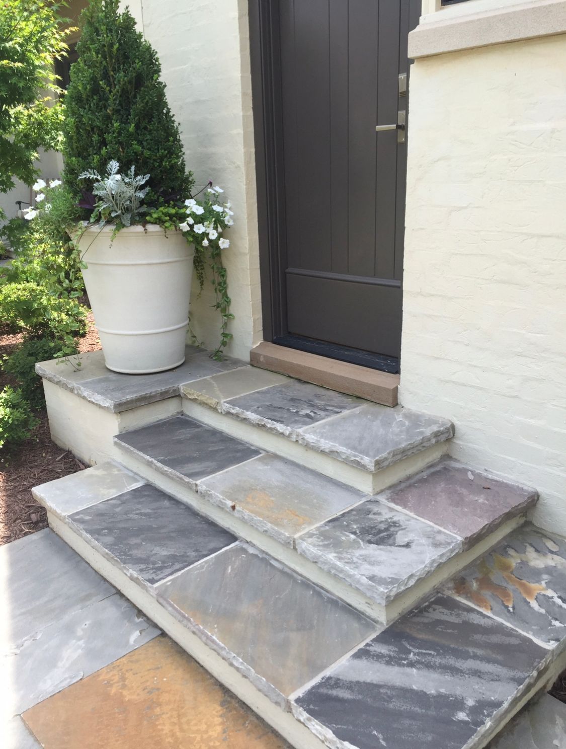 There is a potted plant on the steps of a house.