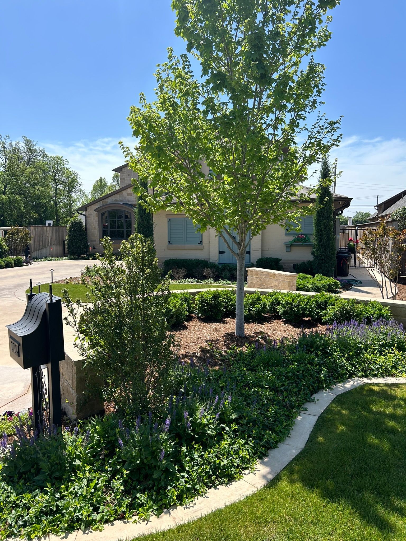 A tree is in the middle of a lush green yard in front of a house.