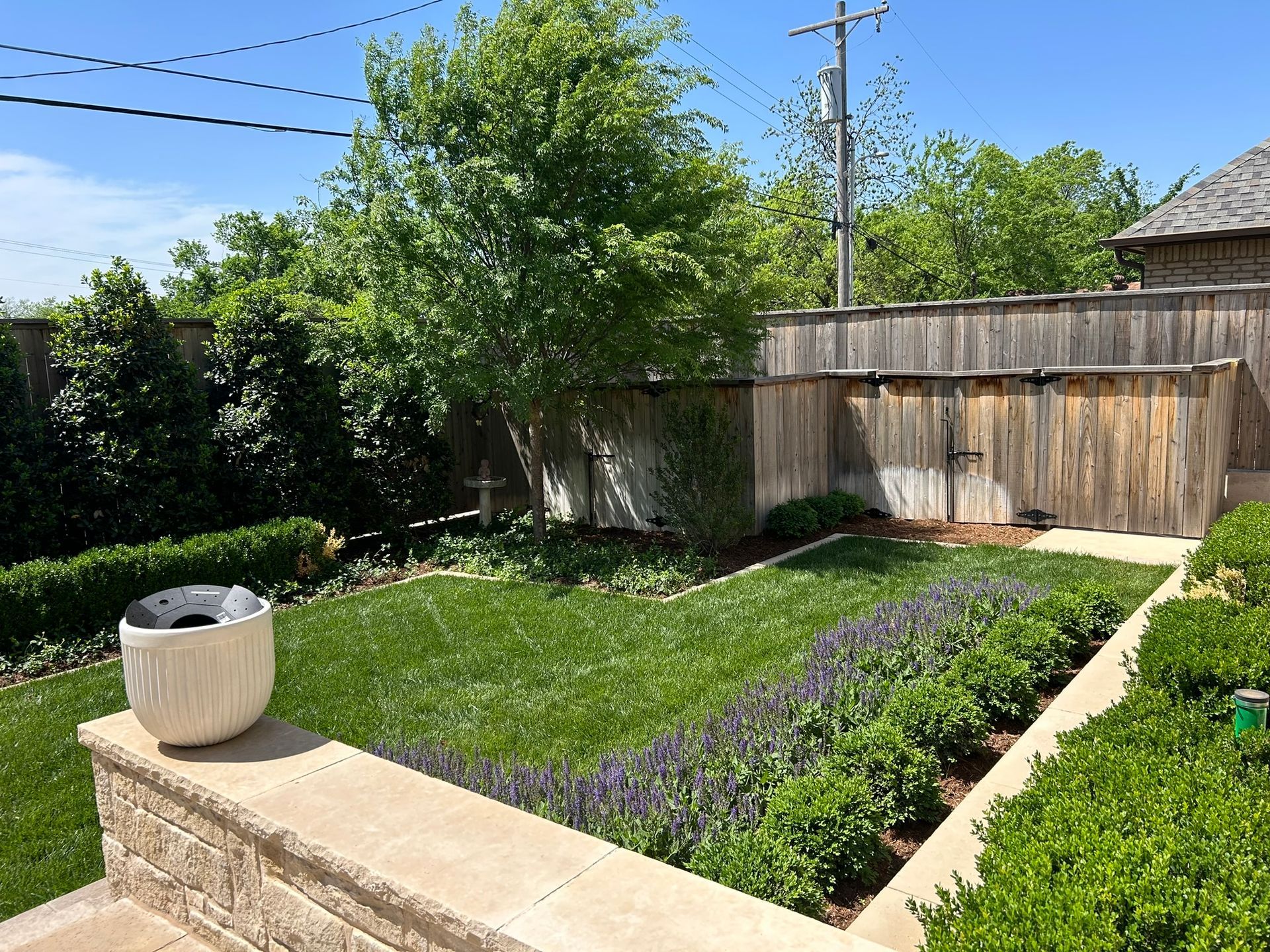A backyard with a wooden fence and a white pot in the middle of it.