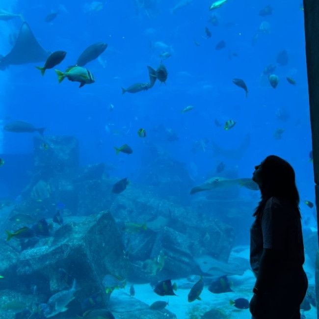 Kineta Mohan, Accountant, Wood and Disney, fun photo