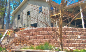 Tree Without Leaves | Bolivar, MO | Clay Landscaping, LLC