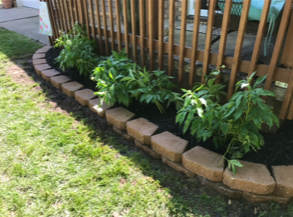 Photo Of A Side Plants | Bolivar, MO | Clay Landscaping, LLC