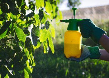 Burlington County Pest Control — Using Pesticide Against Pests  in Medford, NJ