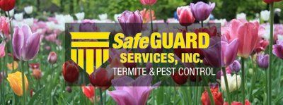 Chemical Free Pest Control — Spring in Medford, NJ