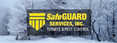 Termite Inspection — Winter in Medford, NJ