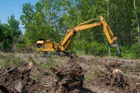 clearing the land using the backhoe