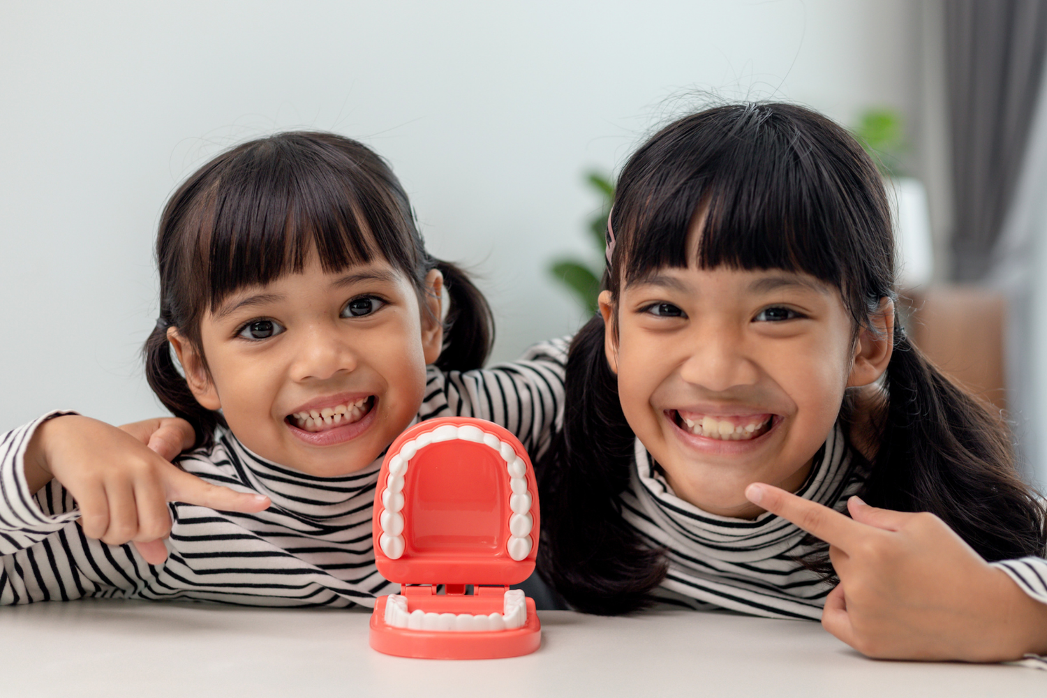 Two girls with smiles, pointing at a model of teeth, against a white background.
