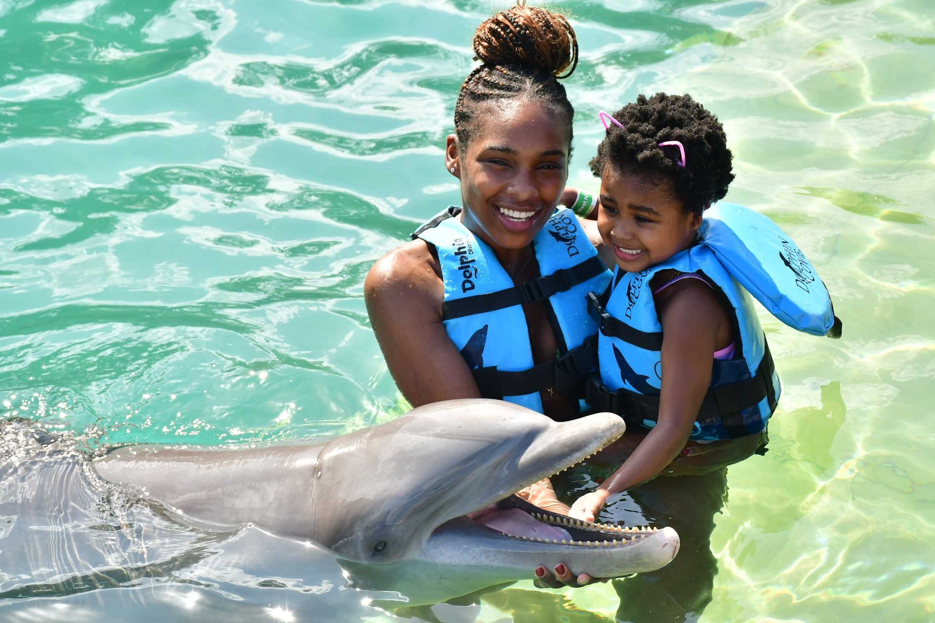 Dolphin Cove in Ocho Rios