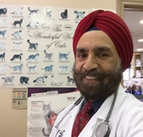 Veterinarian with red turban, stethoscope, in front of a cat breeds poster.