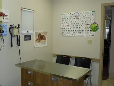 Veterinary examination room with a stainless steel table, wall-mounted instruments, and dog breed chart.