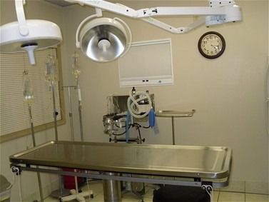 Veterinary operating room with a stainless steel table, surgical lights, and medical equipment.