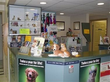 Veterinary clinic reception area. Counter with pet statues, informational materials, and posters.