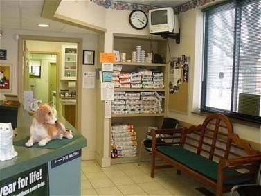 Veterinary clinic waiting room: Reception desk, shelving with medications, bench, clock, and a window.