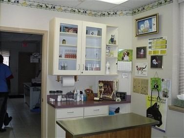 Veterinary examination room with cabinets, counter, and exam table. A person is in the adjacent room.