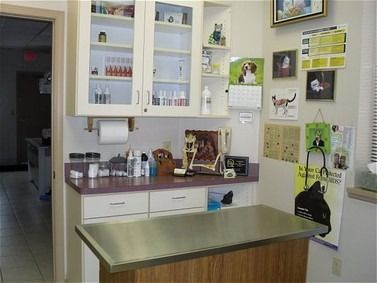 Veterinarian's office examination room with stainless steel table, cabinets with supplies, and dog-related decor.