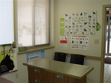 Veterinary exam room: desk, window with blinds, posters, two chairs, and a doorway.