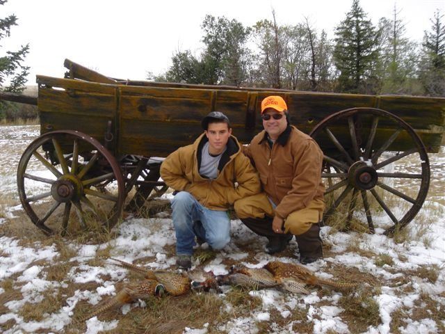 North Dakota Pheasant Hunting - ND Pheasant Hunts