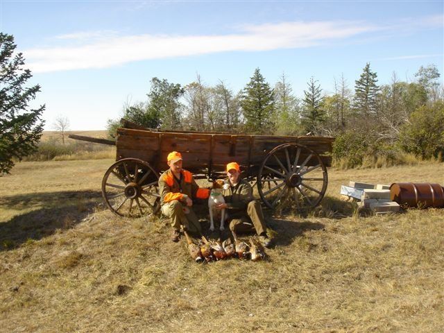 North Dakota Pheasant Hunting - ND Pheasant Hunts