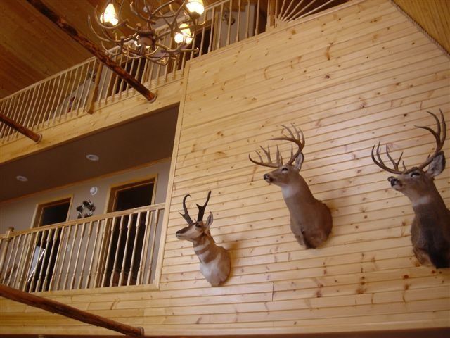 Pheasant Hunting Lodge in North Dakota