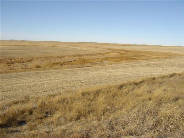 Pheasant Hunting Lodge in North Dakota