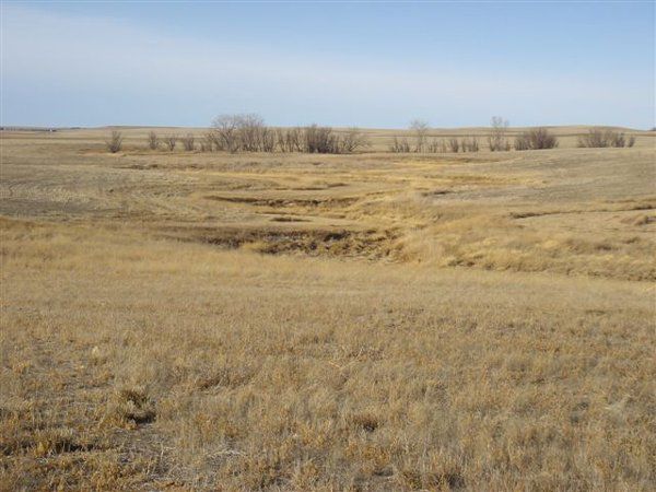 Pheasant Hunting Lodge in North Dakota