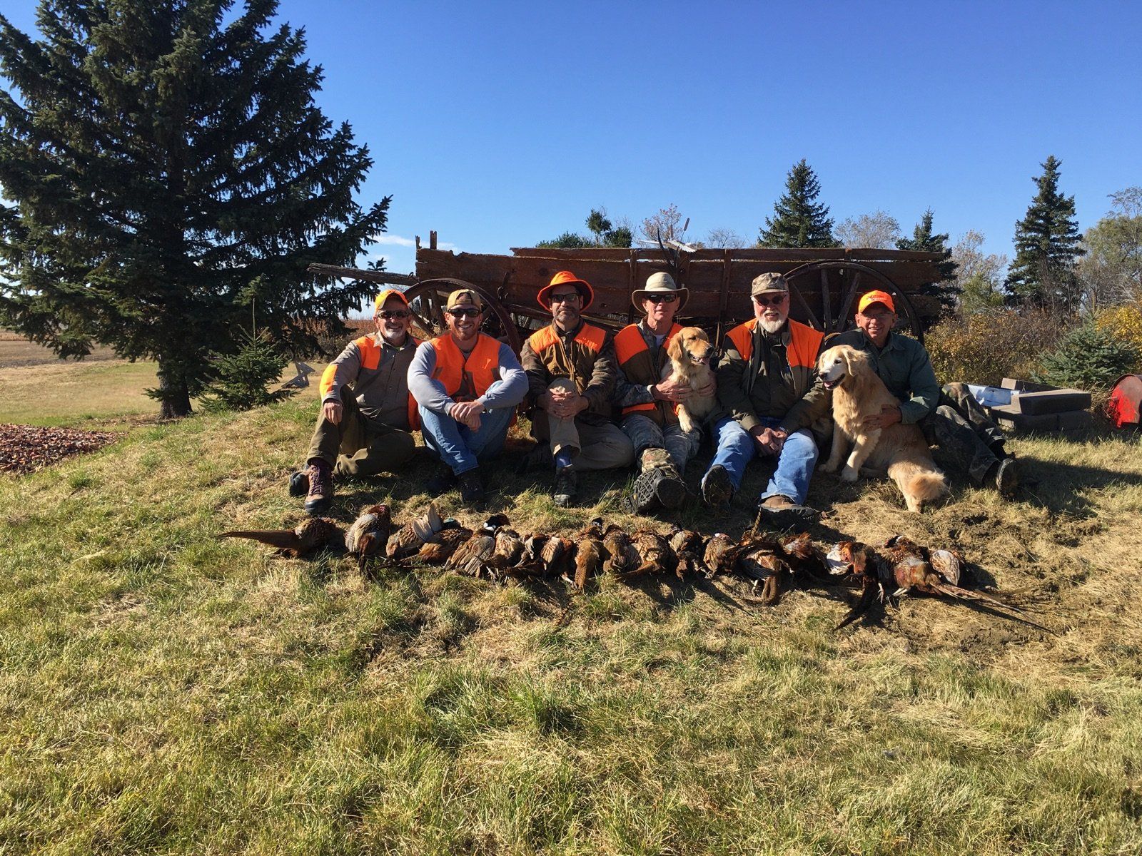 North Dakota Pheasant Hunting - ND Pheasant Hunts