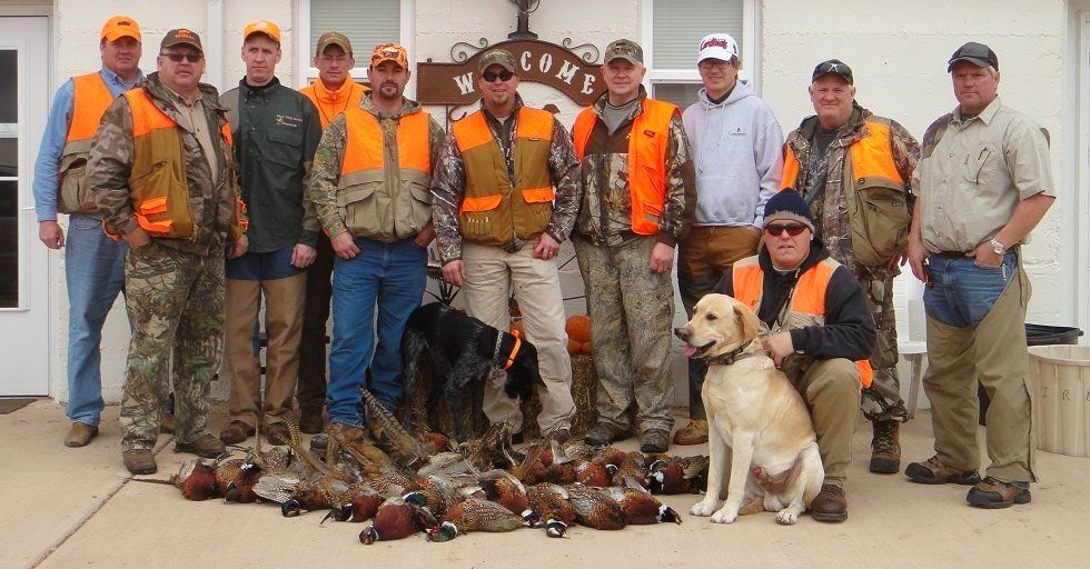 North Dakota Pheasant Hunting - ND Pheasant Hunts